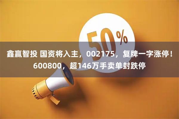 鑫赢智投 国资将入主，002175，复牌一字涨停！600800，超146万手卖单封跌停
