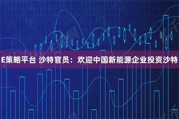 E策略平台 沙特官员：欢迎中国新能源企业投资沙特